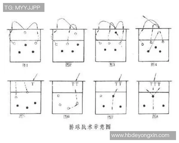 南京排球队战术深度解析与对比分析探讨 南京排球队战术深度解析与对比分析探讨