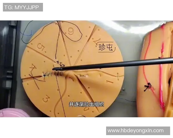 广州篮球队中路突破战术解析与实战应用探讨 广州篮球队中路突破战术解析与实战应用探讨