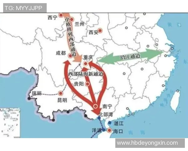 成都排球队实力分析与表现评估探讨及未来发展方向研究